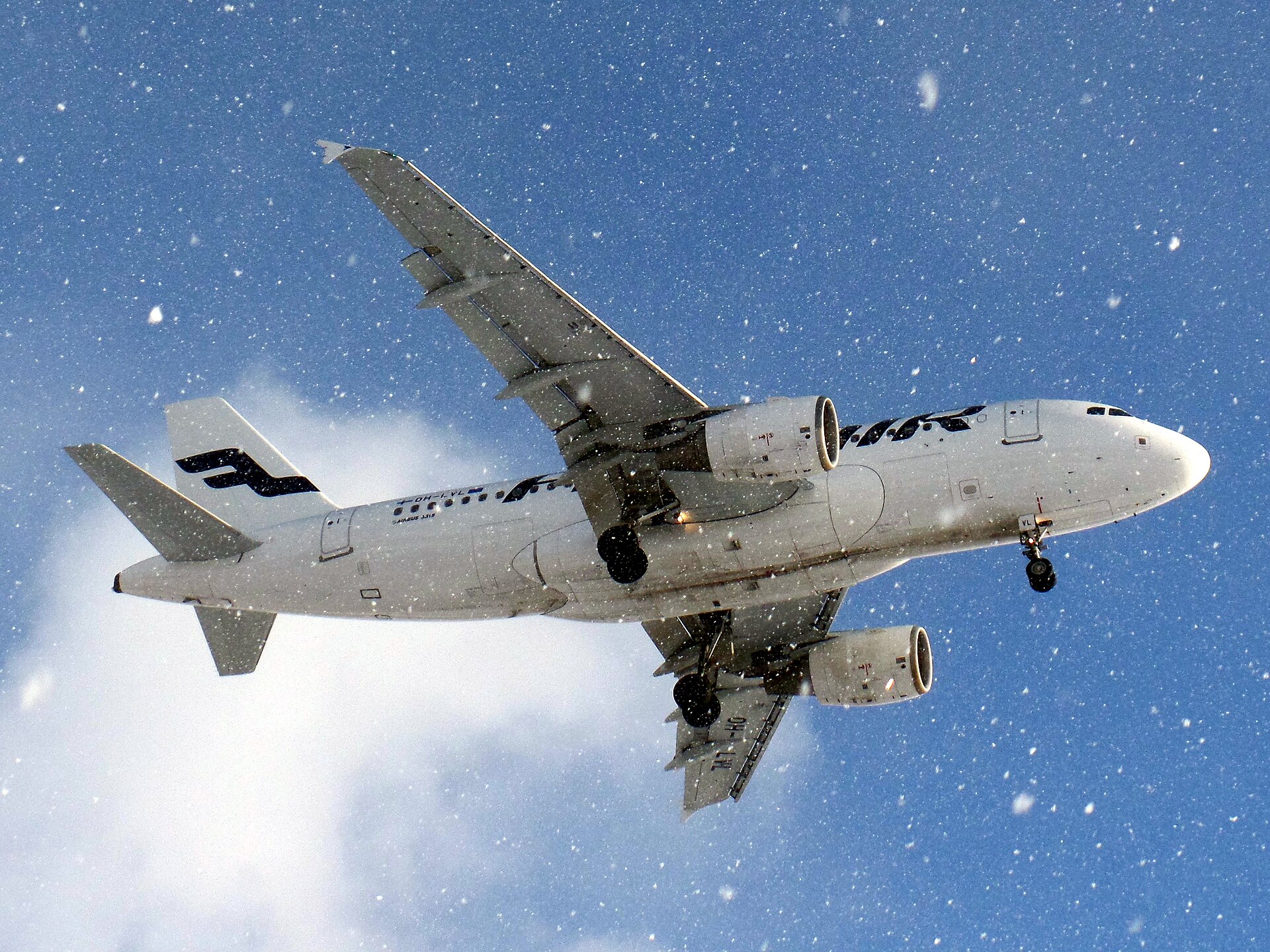 Airbus A319