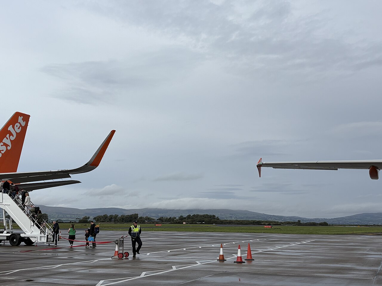 Wingtip Fence