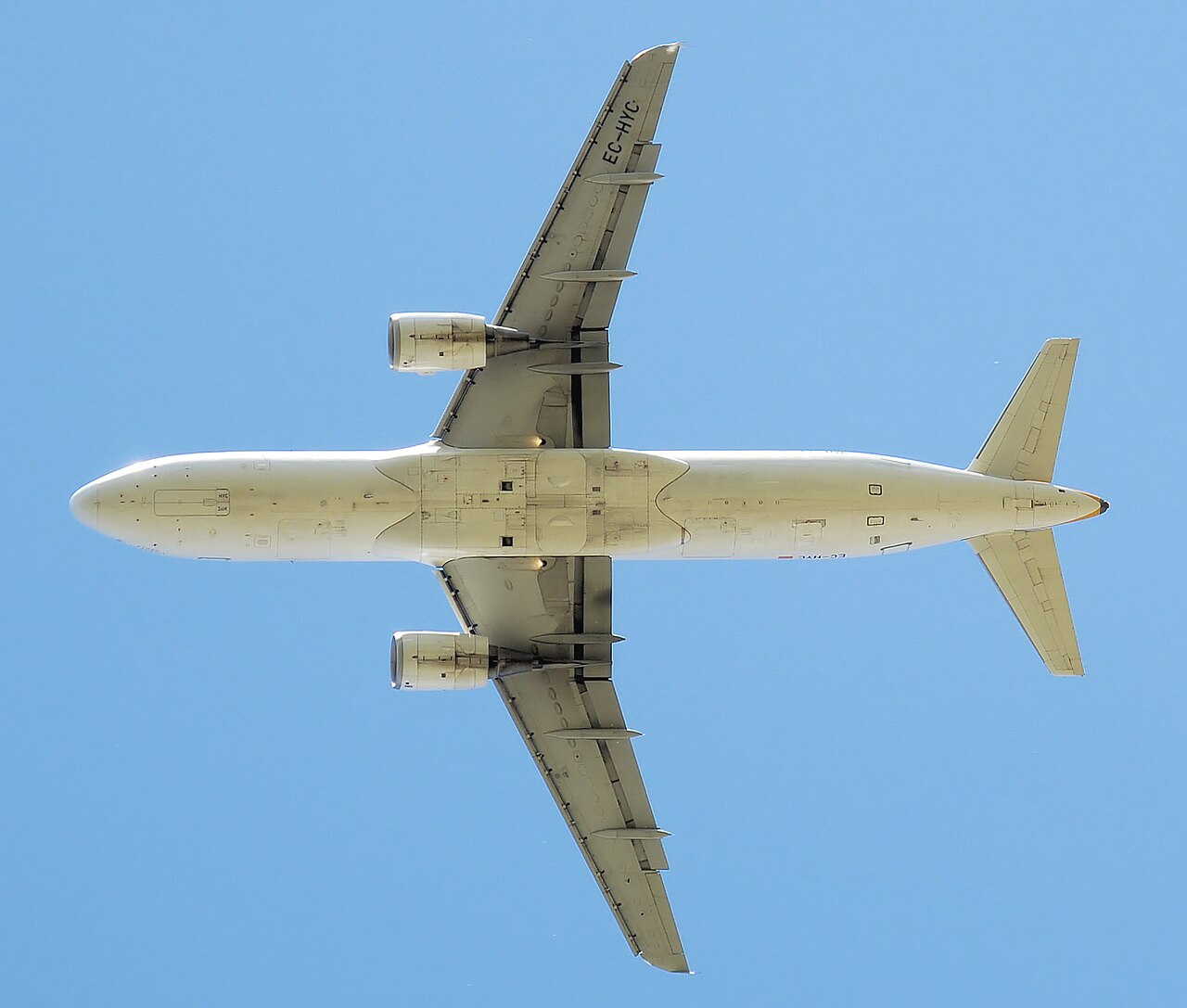 Wing Planform